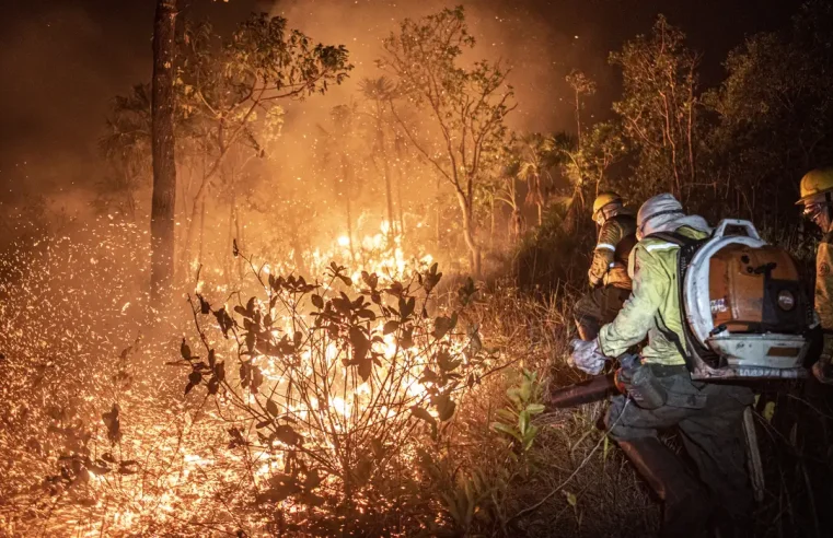 Manejo com fogo, contrafogo e queimada – entenda a diferença