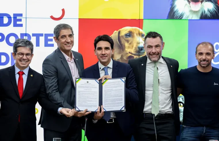 Governo anuncia novas regras para transporte aéreo de pets