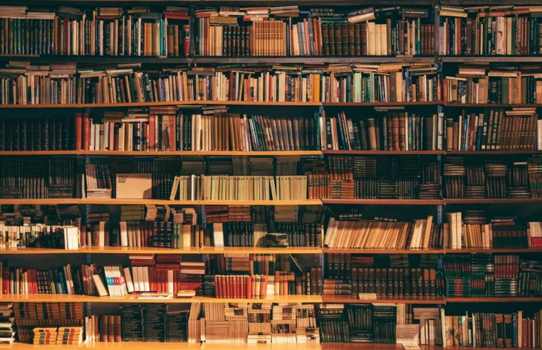 Câmara de Rio Branco aprova lei que permite Bíblias em bibliotecas escolares