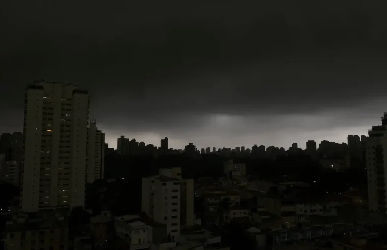 Temporal em SP derruba árvores e deixa moradores sem luz
