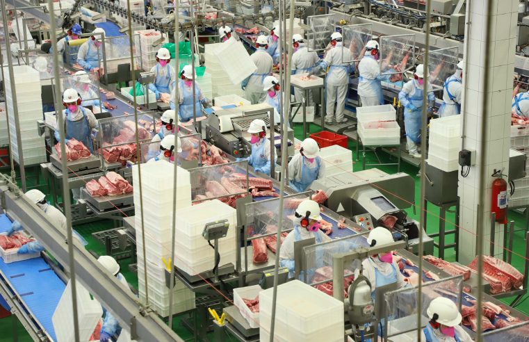 Paraná bateu recorde em exportação de carne suína em setembro