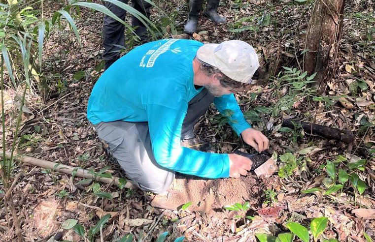 Portos do Paraná encerra outubro com capacitação de pescadores e plantio de árvores