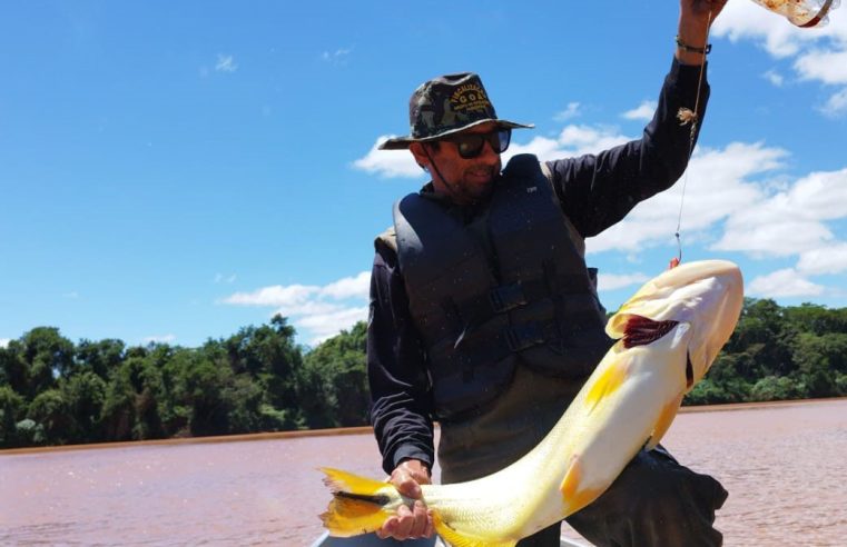 Piracema: proibição de pesca predatória na Bacia do Rio Paraná começa na sexta-feira