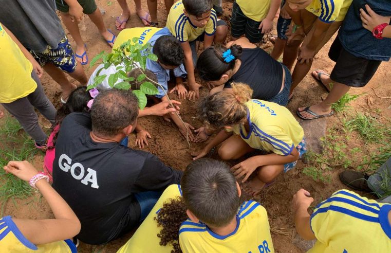 Com plantio de 6,8 mil mudas, Estado supera em 37% meta para Semana do Rio