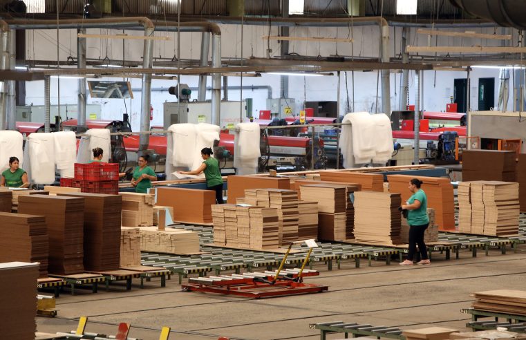 De bebidas a móveis: Paraná lidera crescimento da produção industrial em vários segmentos
