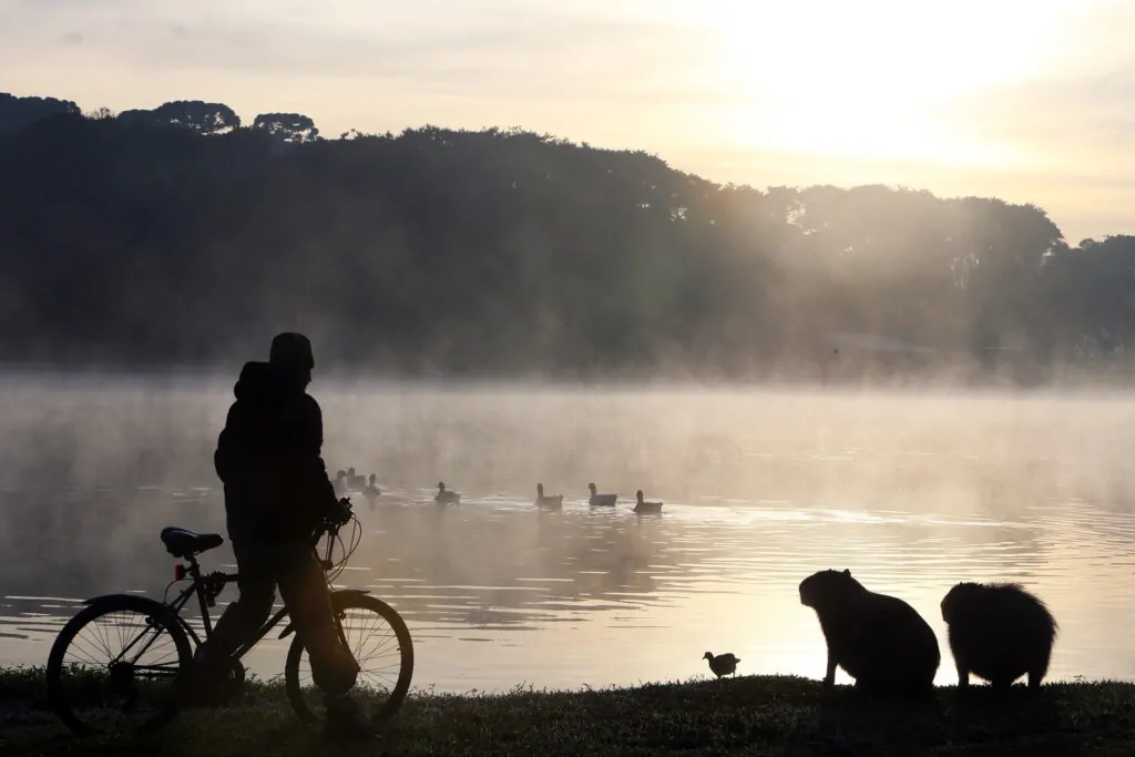 Após domingo marcado por chuva e ventos de mais de 70 km/h, frio vai voltar ao Paraná