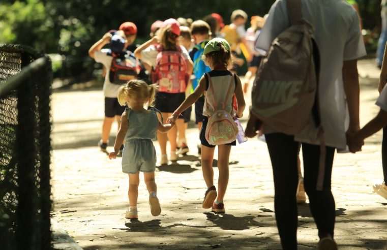 Prefeitura de Cascavel promove programação especial no Zoo e no Ciro Nardi para celebrar o Dia das Crianças