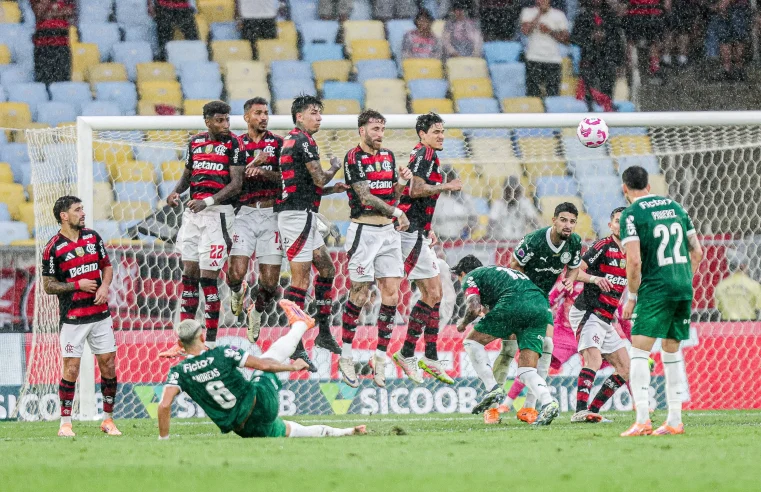 Flamengo e Palmeiras decidem neste sábado (29) o título da Libertadores