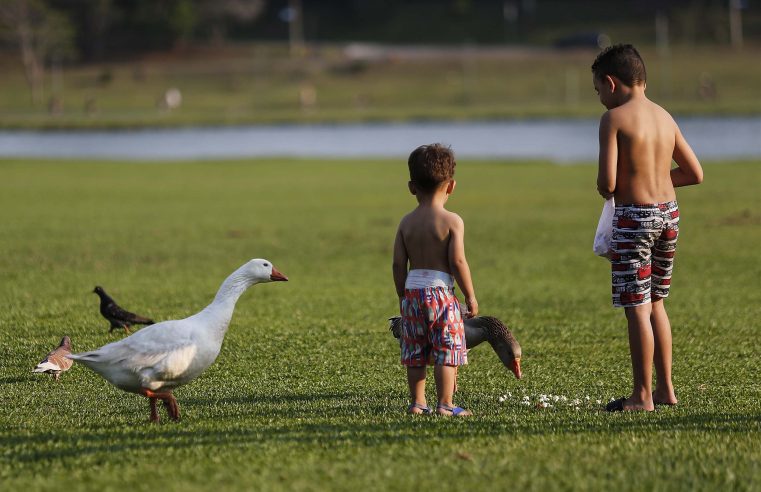 Simepar prevê temperaturas altas no fim de semana, com chuva no domingo