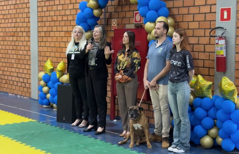 Cascavel inicia programa de acolhimento temporário para animais vítimas de maus-tratos