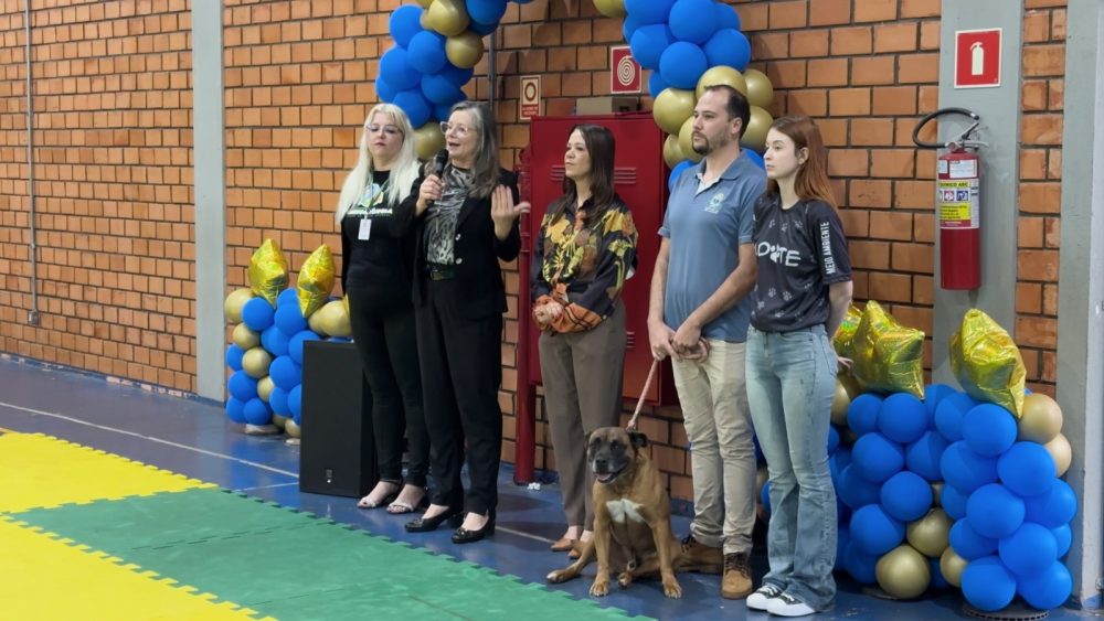 Cascavel inicia programa de acolhimento temporário para animais vítimas de maus-tratos