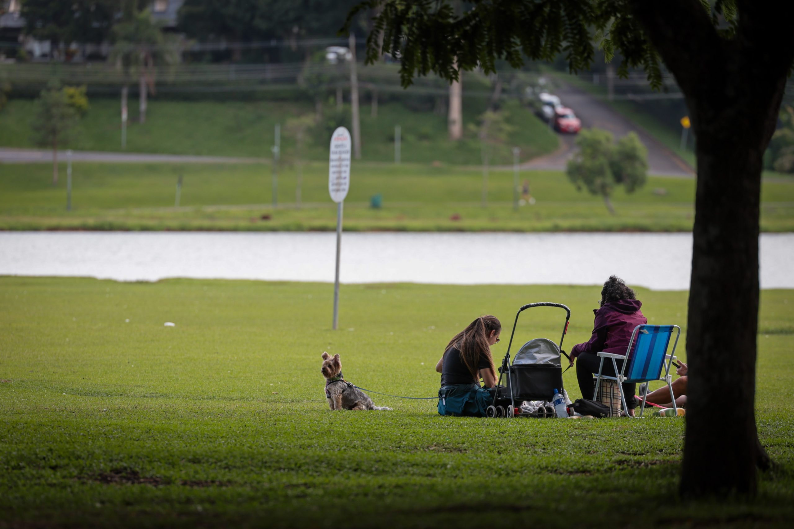 Chuva diminui no Paraná até quinta-feira e temperaturas sobem gradativamente