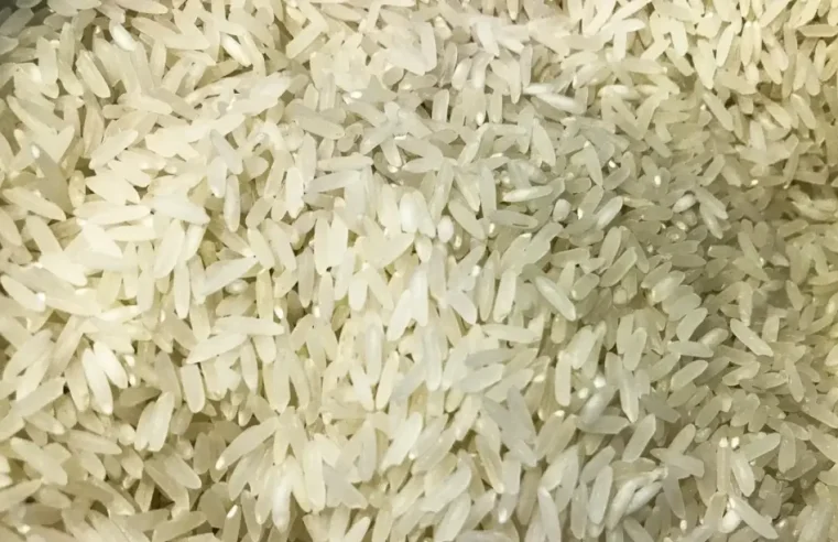 Terremoto: Brasil doará 10 toneladas de arroz à Colômbia