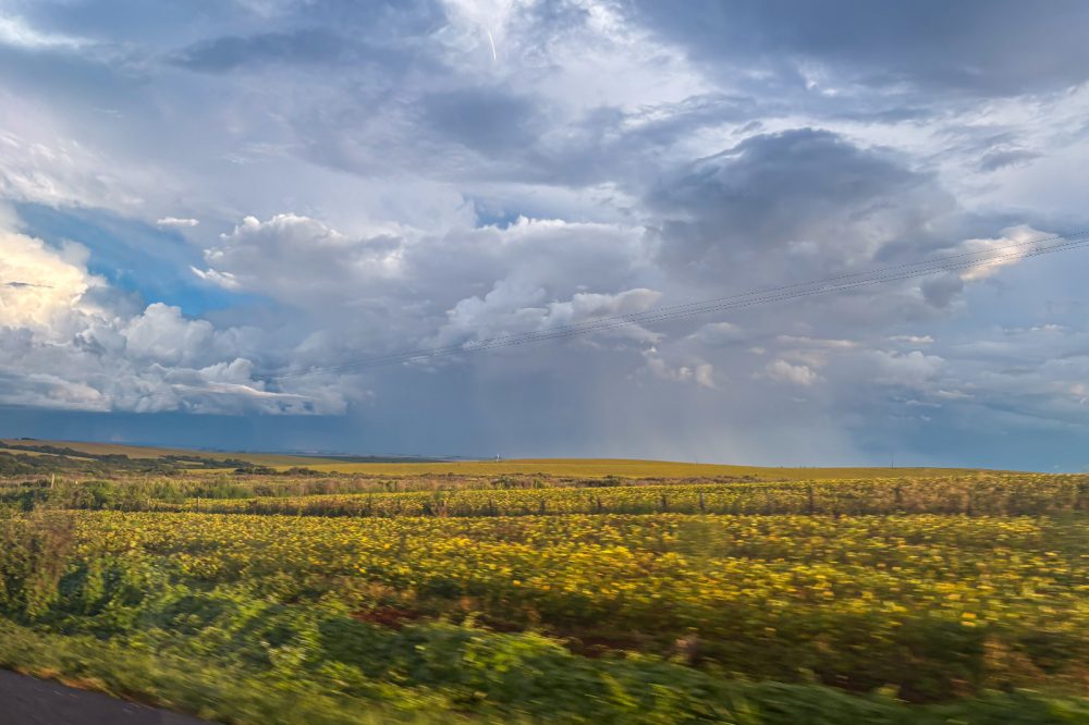Semana intercala chuvas isoladas e dias de sol no Paraná, prevê Simepar