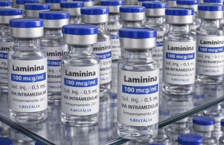 Testes clínicos fase 1 da polilaminina começam este mês