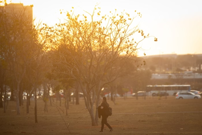 Após frio intenso, calor retorna com força: estados podem alcançar 40°C