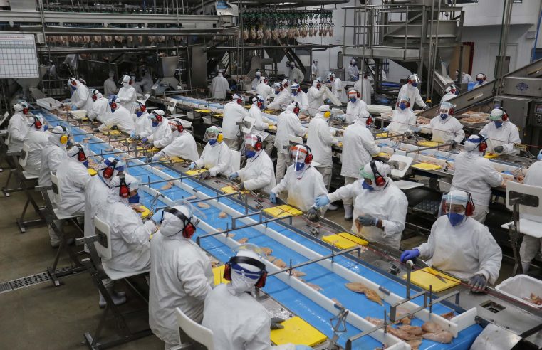 Agências do Trabalhador iniciam a semana com 21,9 mil vagas