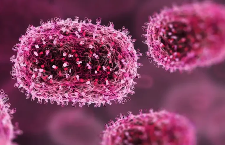 OMS faz recomendações temporárias para situações de surto por mpox