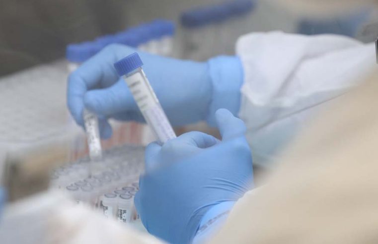 Paraná disponibiliza 2 mil exames gratuitos de DNA para a população
