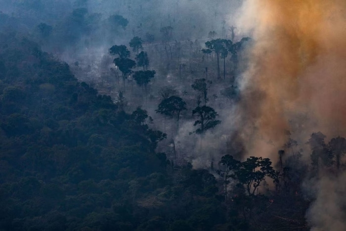 Amazônia já registra mais queimadas em 2024 do que em todo o ano de 2023, aponta Inpe