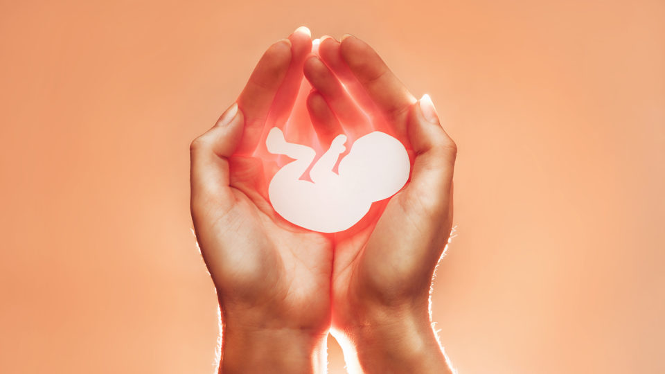 Uso de pílulas abortivas aumenta o número de abortos nos EUA