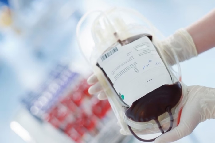 STF julga se testemunha de Jeová pode recusar transfusão de sangue