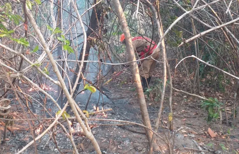 Incêndio na Chapada dos Veadeiros ainda não foi controlado