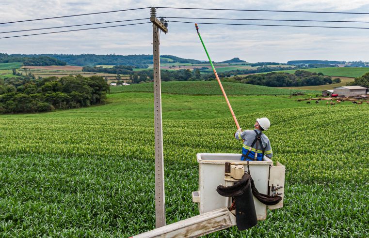 Do Clic Rural aos 19 mil km de redes do Paraná Trifásico, Copel leva investimentos ao campo