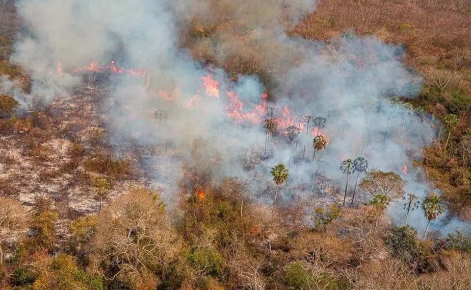 Advogado recebe multa de R$ 50 Milhões por causar incêndio recorde no Pantanal