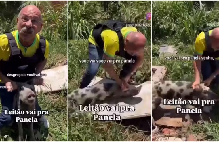 Vereador é investigado por maus-tratos e ameaças após vídeo segurando porco pelas orelhas no Ceará