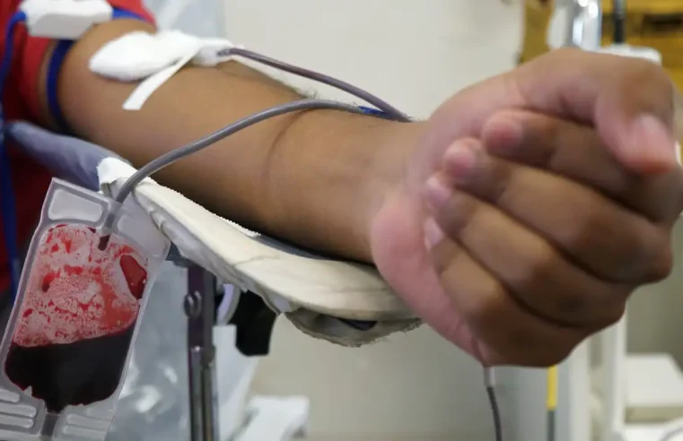 Hemorio lança hoje campanha Unidos pelo Sangue