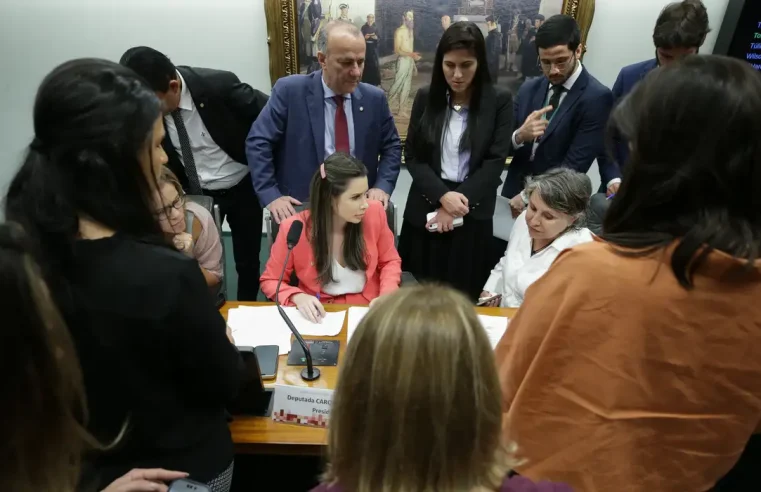 CCJ: PEC que proíbe aborto legal pode ser votada nesta terça na Câmara