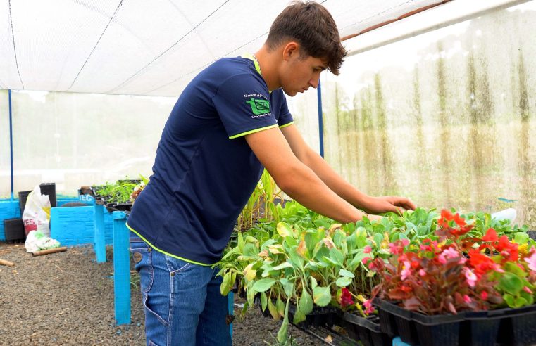 Do Paraná para os EUA: jovem quer mudar a história da família no Ganhando o Mundo Agrícola