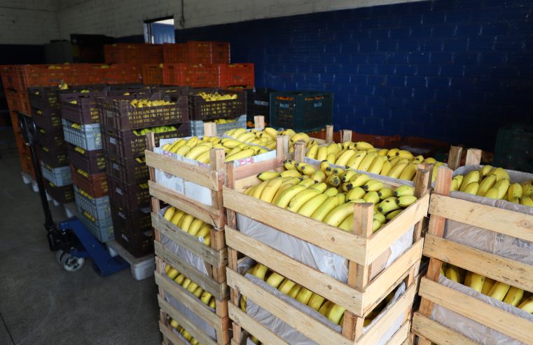 Preços de alimentos e bebidas caem em todas as regiões do Paraná em novembro