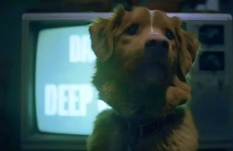 Cão Indy faz história ao ser indicado a prêmio de atuação em filme de terror