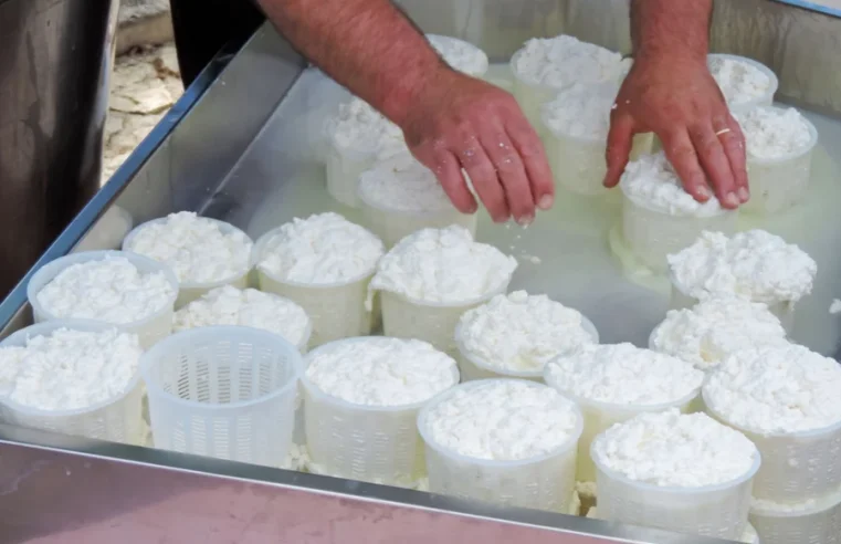 Ricota caseira com 3 ingredientes: receita fácil, econômica e sem mistério