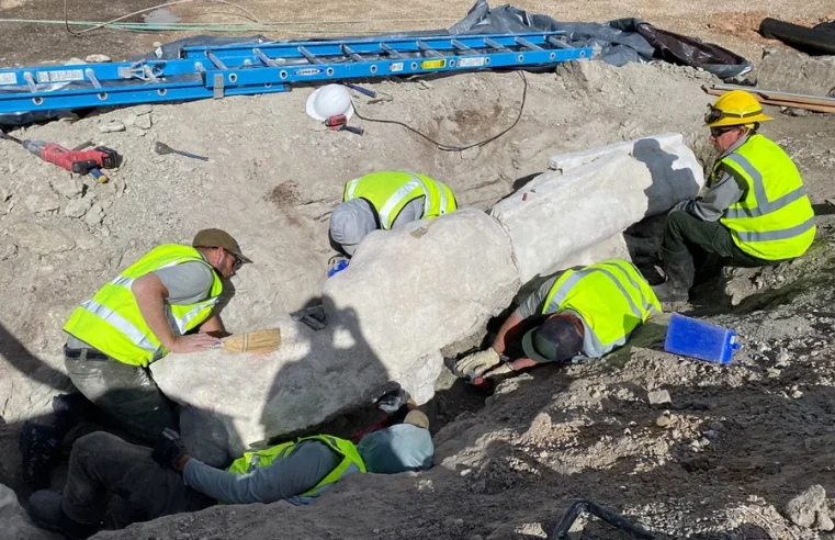 Obra em estacionamento revela fósseis de dinossauros em parque de Utah
