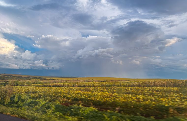 Semana intercala chuvas isoladas e dias de sol no Paraná, prevê Simepar