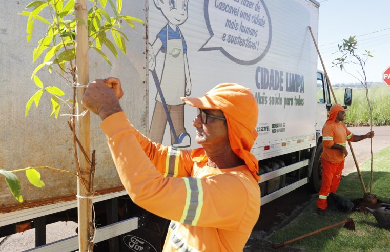 Prefeitura tem programação para deixar Cascavel ainda mais verde